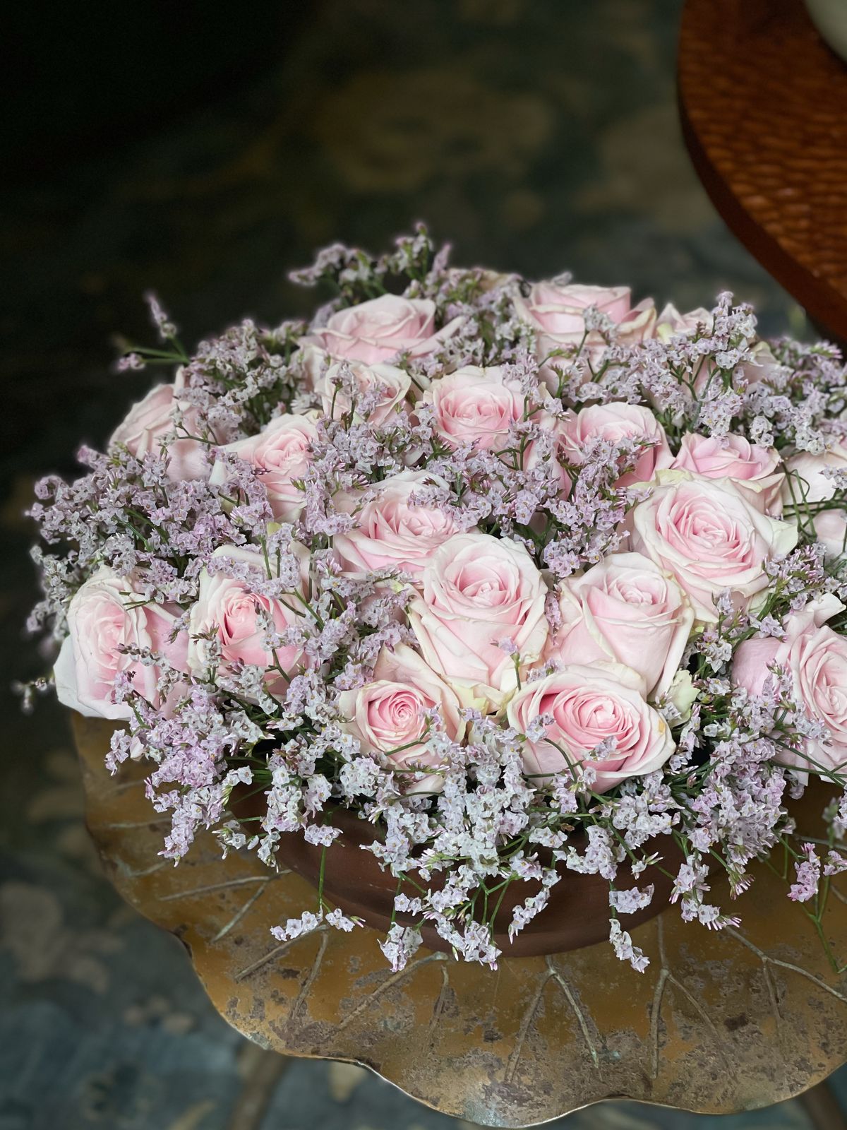 Rosa -  